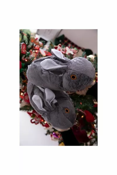 باندوف النعال الأرنب الرمادي