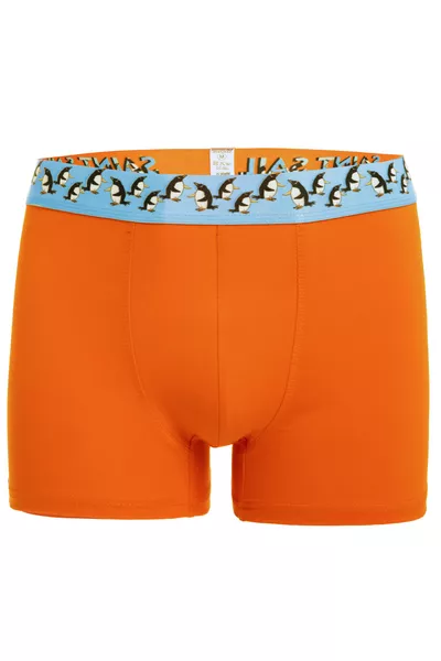 Подарочные хлопковые стильные и удобные мужские боксеры с принтом