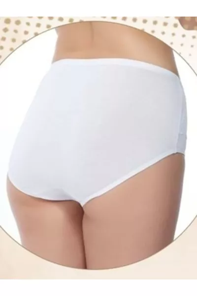 Culotte gainante de luxe , lot de 4