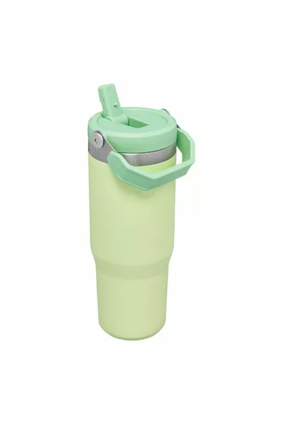 The Iceflow Flip Straw Thermos Cup with Straw 0, Lt