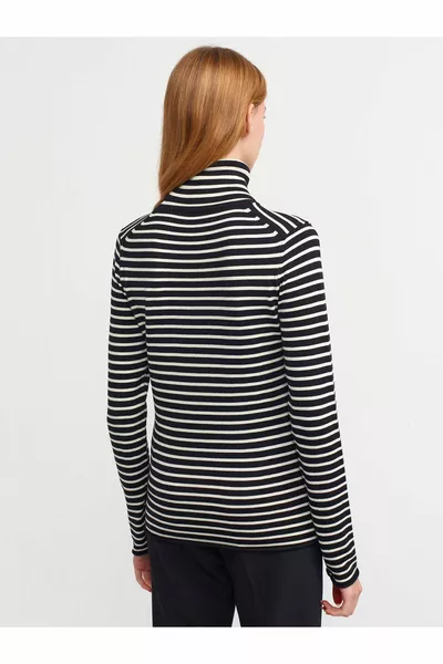 Pull rayé à col montant noir 