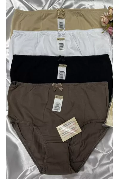 4er Pack Damen Hoher Bund Modal Baumwolle Slip