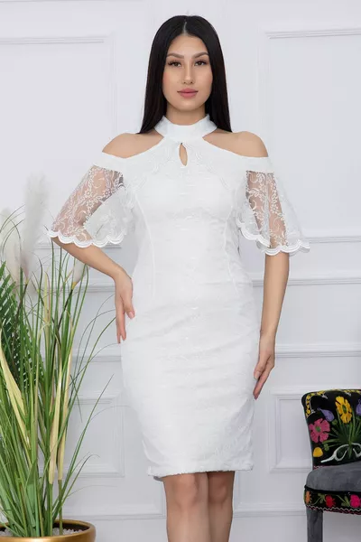 الدانتيل الكتف مفصلة مساء اللباس القصير 