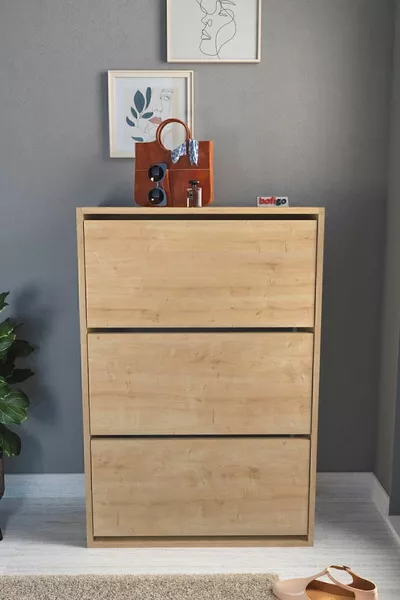 Drop-Front Shoe Cabinet Sliding Shelf Shoe Cabinet 3-Compartment Shoe Cabinet Sapphire