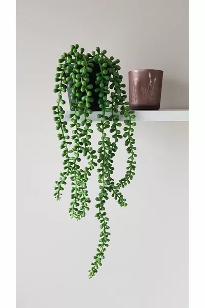 Изкуствено растение, османска роза в саксия, 6 см, 6 клонки