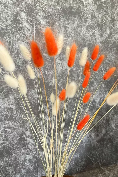 Оранжев натурален сушен памучен трън, букет за булка с опашка на заек, аранжировъчен цвят Лагурус  стъбла