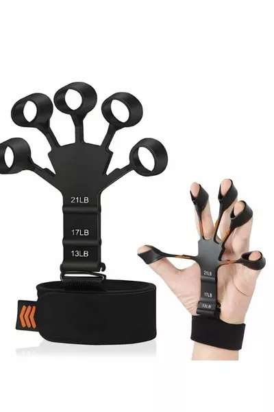 Palestra progressiva in 2 pezzi per il rafforzamento delle vene del polso che definisce la costruzione muscolare