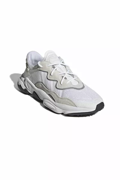 Sportswear Ozweego Co Erkek Spor Ayakkabı