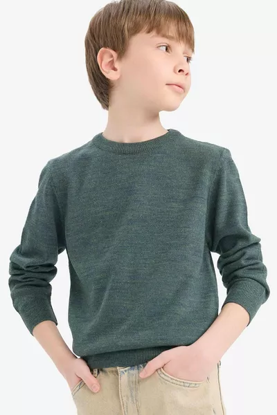 Boys' Olive Green Crew Neck Basic Plain Knit Sweater wn
