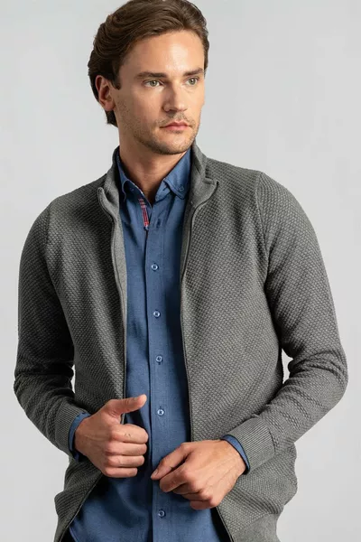 Cardigan grigio da uomo, taglio standard, vestibilità normale, motivo a rombi, collo a mezzaluna con zip