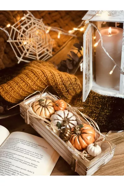 Set de décoration de citrouille avec caisse en béton et plantes séchées inclus