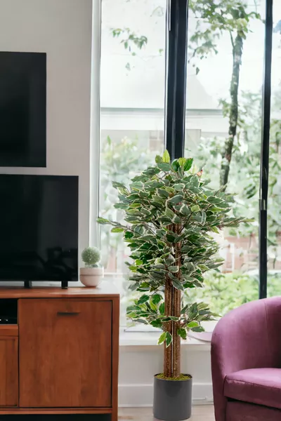 Arbre artificiel Benjamin vert et blanc en pot gris de Cm