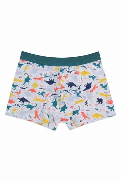Boys' 3-Pack Dinosaur Print Boxer Shorts