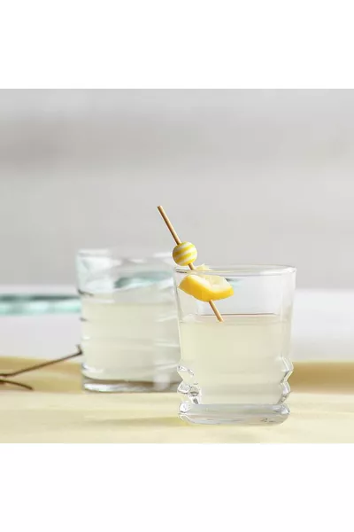 Elegan 6 Parça Likör Kadehi 