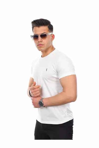 تي شيرت رجالي غير مكشوف عالي الجودة قياسي صالح 5 حزم