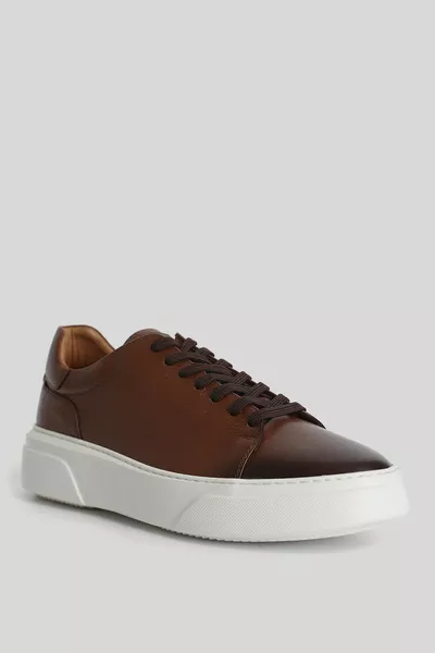 Tommy Chaussures Sneaker Homme en cuir Tan