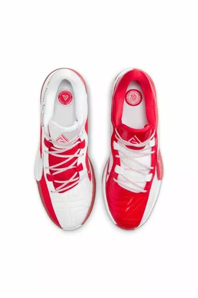 Zoom Freak 5 Asw basketbalschoenen voor heren