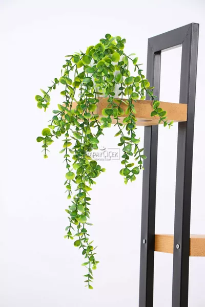 Kunstbloem Dichte Bladeren Groene Eucalyptus Hangende Klimop Plant (Witte Mika Pot)  cm
