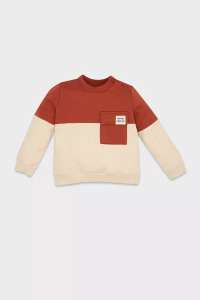 Baby Boy Crew Neck Color Block Soft Fleece Lined Sweatshirt NS
