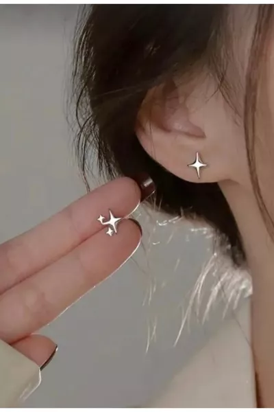 Women's Elegant Tiny Star Stainless Steel Silver Earrings