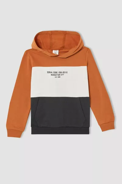 طقم أولاد منسوج بقبعة بكبش داخلي ناعم وسويت شيرت بطبعة وسروال رياضي AU