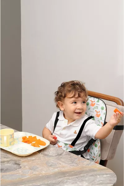 حقيبة طعام الأطفال من كارنفال - كرسي طعام محمول