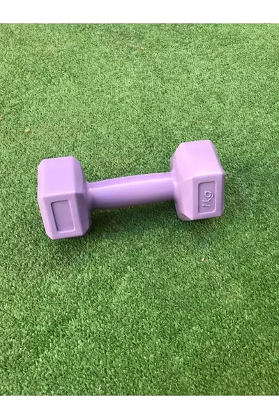 Leyayon 1 Kg x 2 Pieces Dumbbell Vinyl Covered Weight - Purple Color