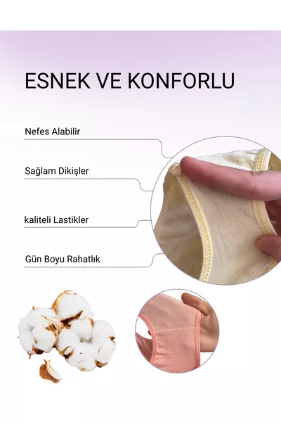 سروال داخلي نسائي ملون من القطن بخصر عادي ومرن - ملابس داخلية ملونة بمقاس كبير - عبوة من  قطع