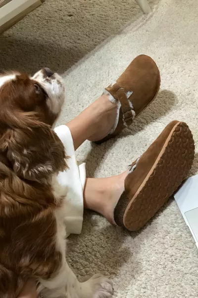 أوسلو الفلين الوحيد من جلد الغزال الأصلي الفراء النعال