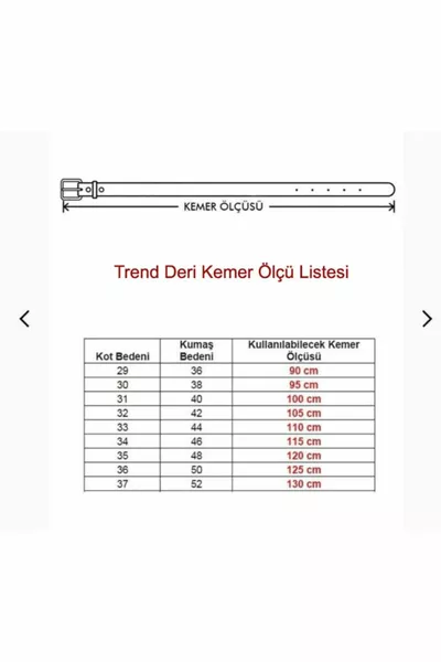 حزام أمان مخصص