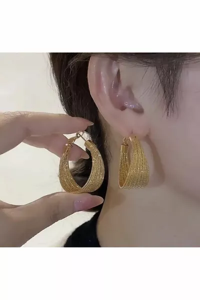 Imported Steel thick mesh model hoop earrings