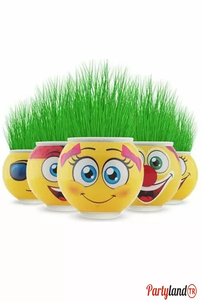 4 шт. смайликов-травянчиков