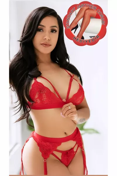 Ensemble de porte-jarretelles fantaisie pour femme avec détails en dentelle rouge