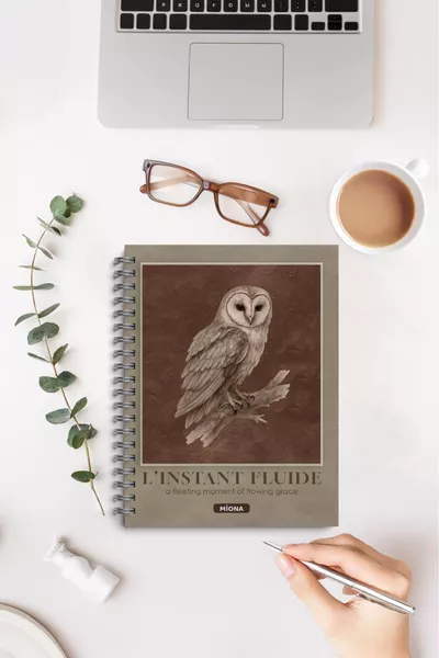 دفتر مدرسي  بحلزون  صفحة مجموعة من 4 دفاتر ذات موضوع بني 2 مربعات - 2 سطور، دفتر، نوتبوك