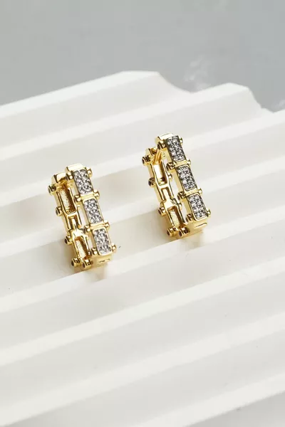 Steel Exclusive Non-Fading Guaranteed Earrings with Invoice