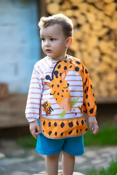 Baby Giraffe Pattern Waterproof Long-Sleeve Bib for Feeding and Activities