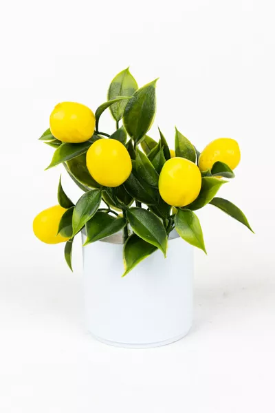 Комплект от 3 мини изкуствени цветя и плодове в бели саксии