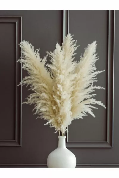 Шоково набъбнали 4 броя памучни пампасови растения (FULFLY)