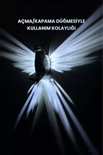 LED стенна лампа с орел – Аплик, на батерии, декоративно и модерно осветление / Нощна лампа - Сива