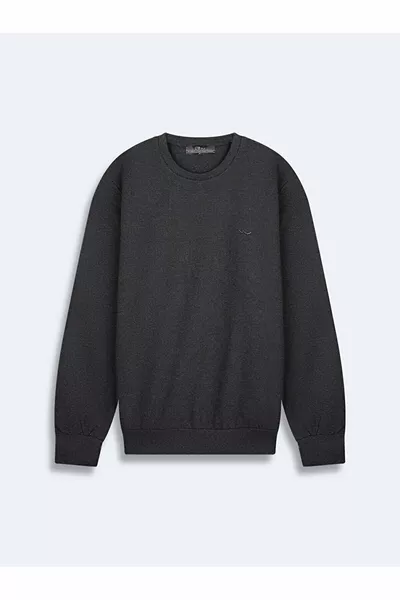 سويت شيرت بأكمام طويلة وياقة صفراء باللون الأنثراسايت