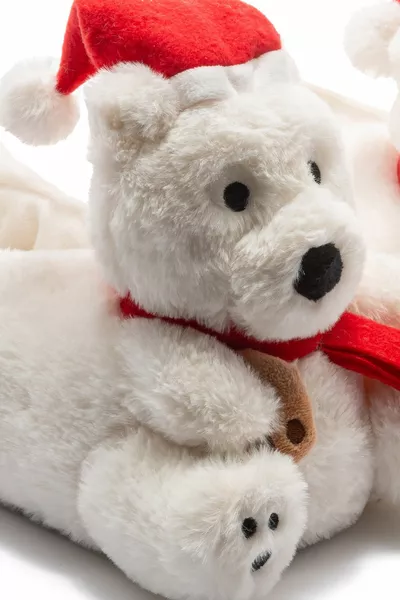 سيلينا أنثى باندوف أبيض /