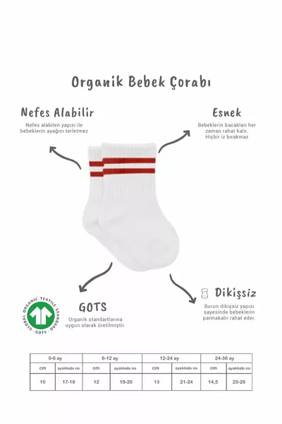 جوارب طويلة أساسية عضوية للأطفال والبنات من بيستل