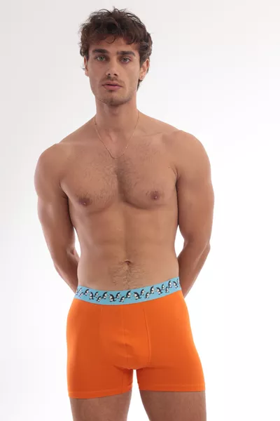 Cotton Stretch Fabric Printed Colorful Pattern 3-Piece Men's Boxer Set