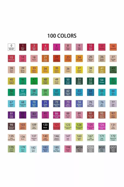  Pieces Double-Ended Touch Marker Art Design Felt Pen Paint Set + Organizer Stand + Bag