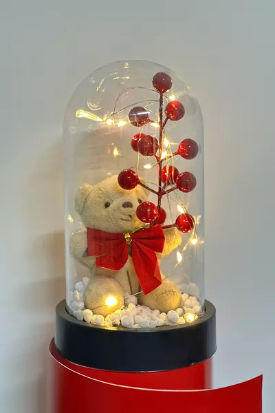 Plush Teddy Bear Holding a Red Rose with Fairy LED Lights in a Glass Dome, Christmas Gift