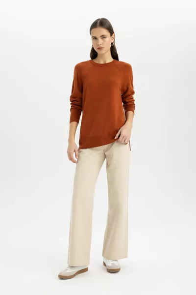 كنزة تريكو أساسية سادة بياقة دائرية وأكمام رجلان بنسيج ناعم وقصة عادية wn