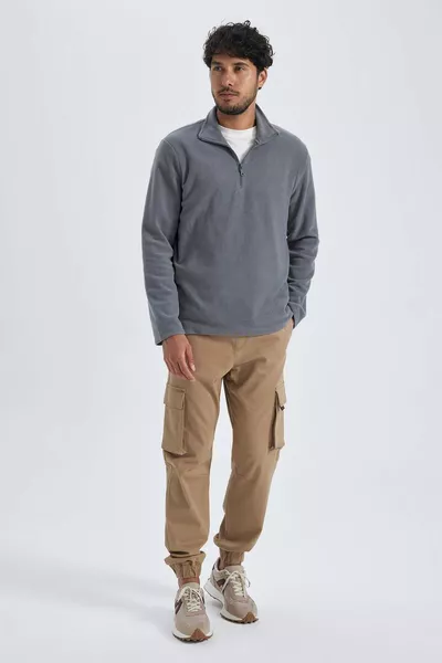 Regular Fit Half-Zip Polar Sweatshirt with Stand Collar