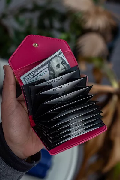 Лвив Веган Кожен Акордеон Фуксия Дамски Портфейл за Карти