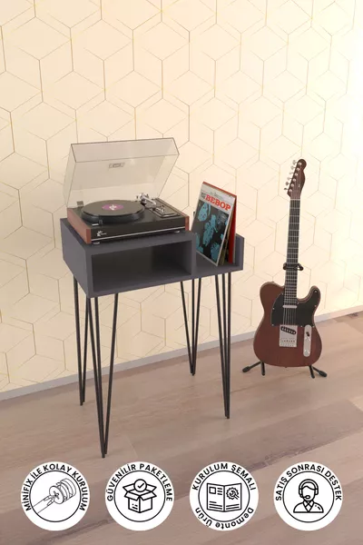 Шкаф за плочи и грамофон .5 см черен