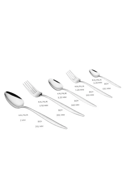 -Piece 6-Person Fork and Spoon Set Pointed Model (boxed)